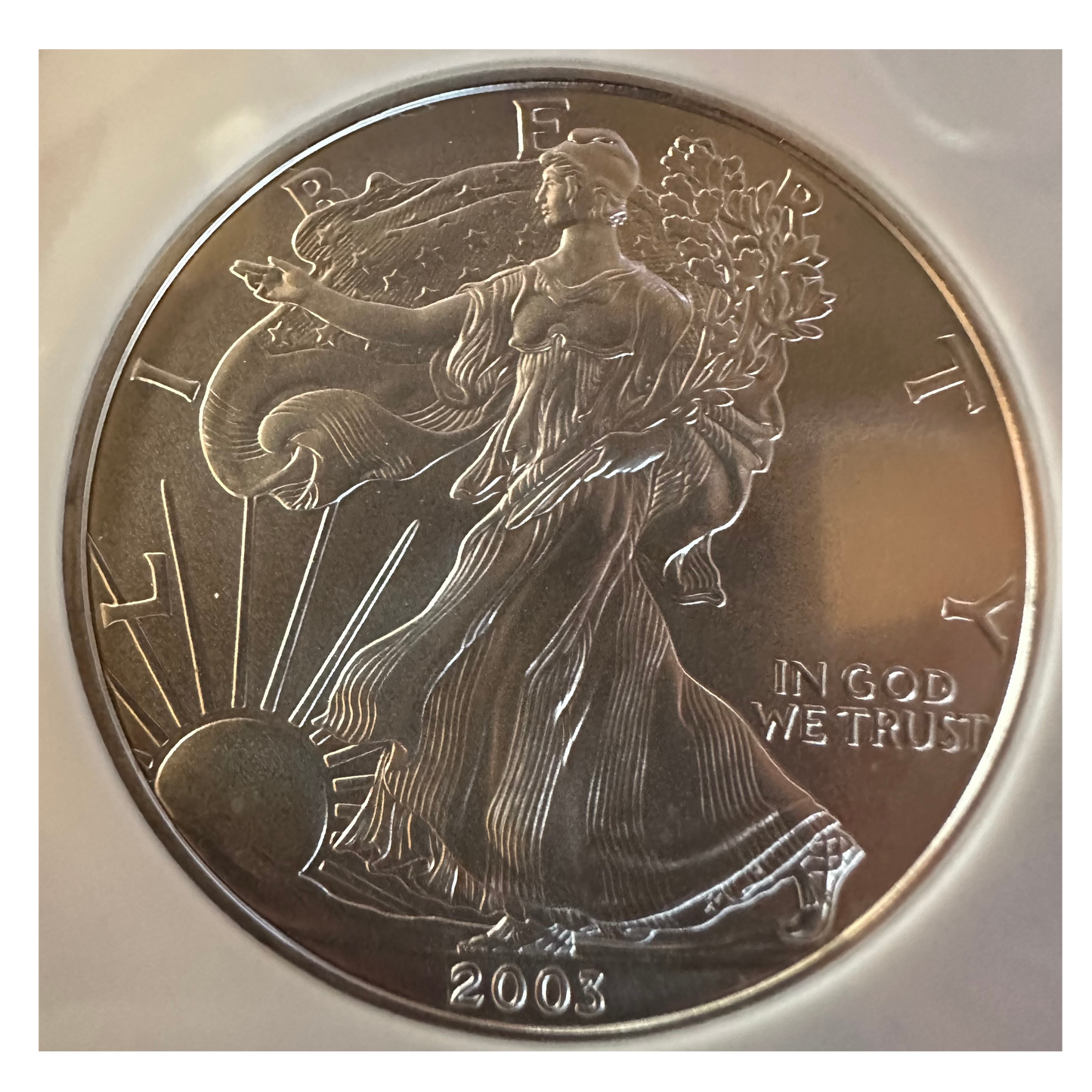2003 NGC MS69 Silver Eagle S - Titan Treasure Trove