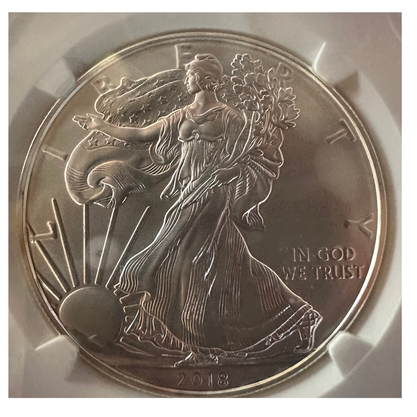 2018-S American Silver Eagle | NGC MS70 New Year’s Edition - Titan Treasure Trove