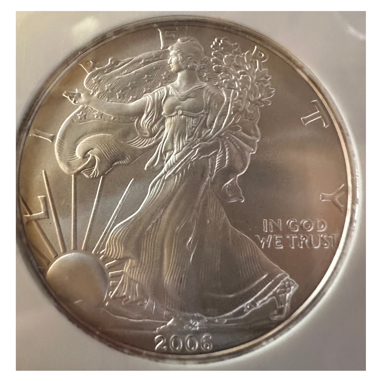 2006-S American Silver Eagle | NGC MS69