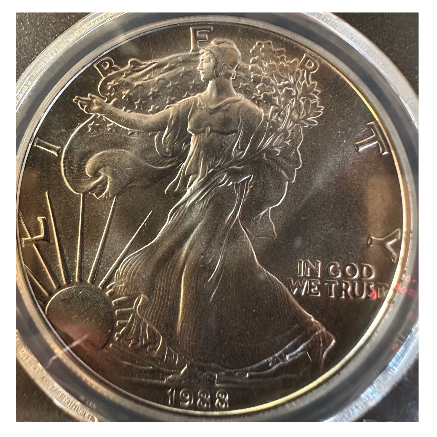 1988 American Silver Eagle - PCGS MS69