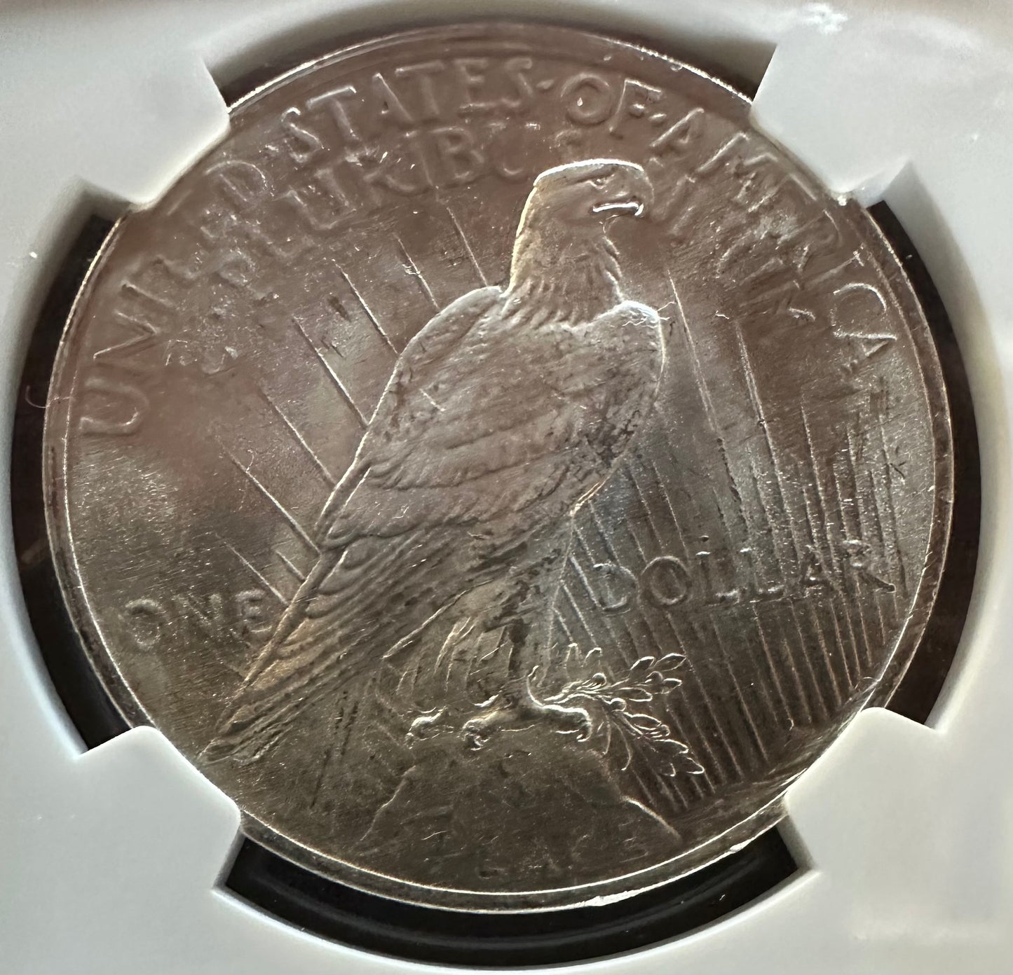 1923 Peace Dollar - NGC MS63