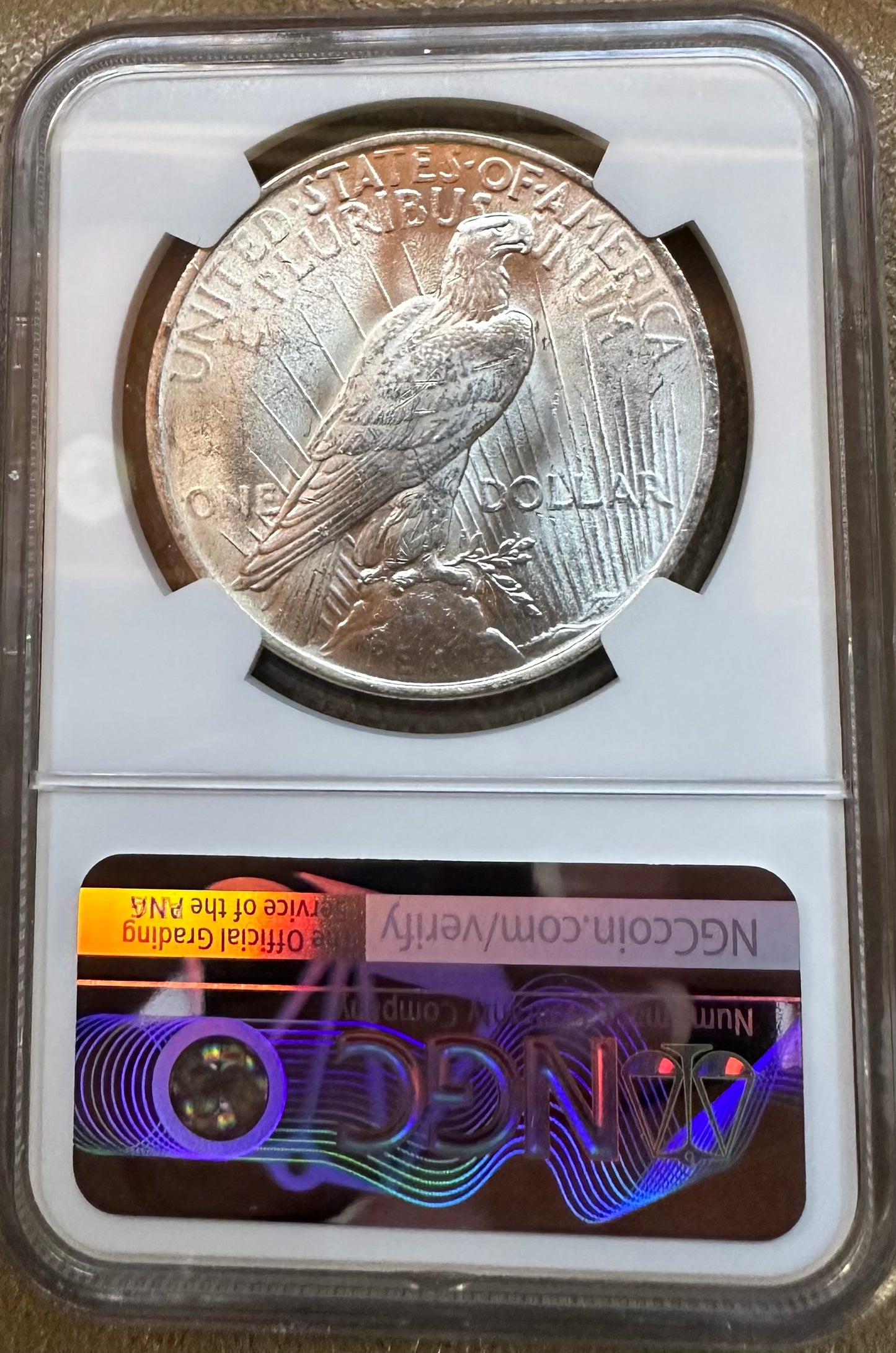 1923 Peace Dollar - NGC MS63