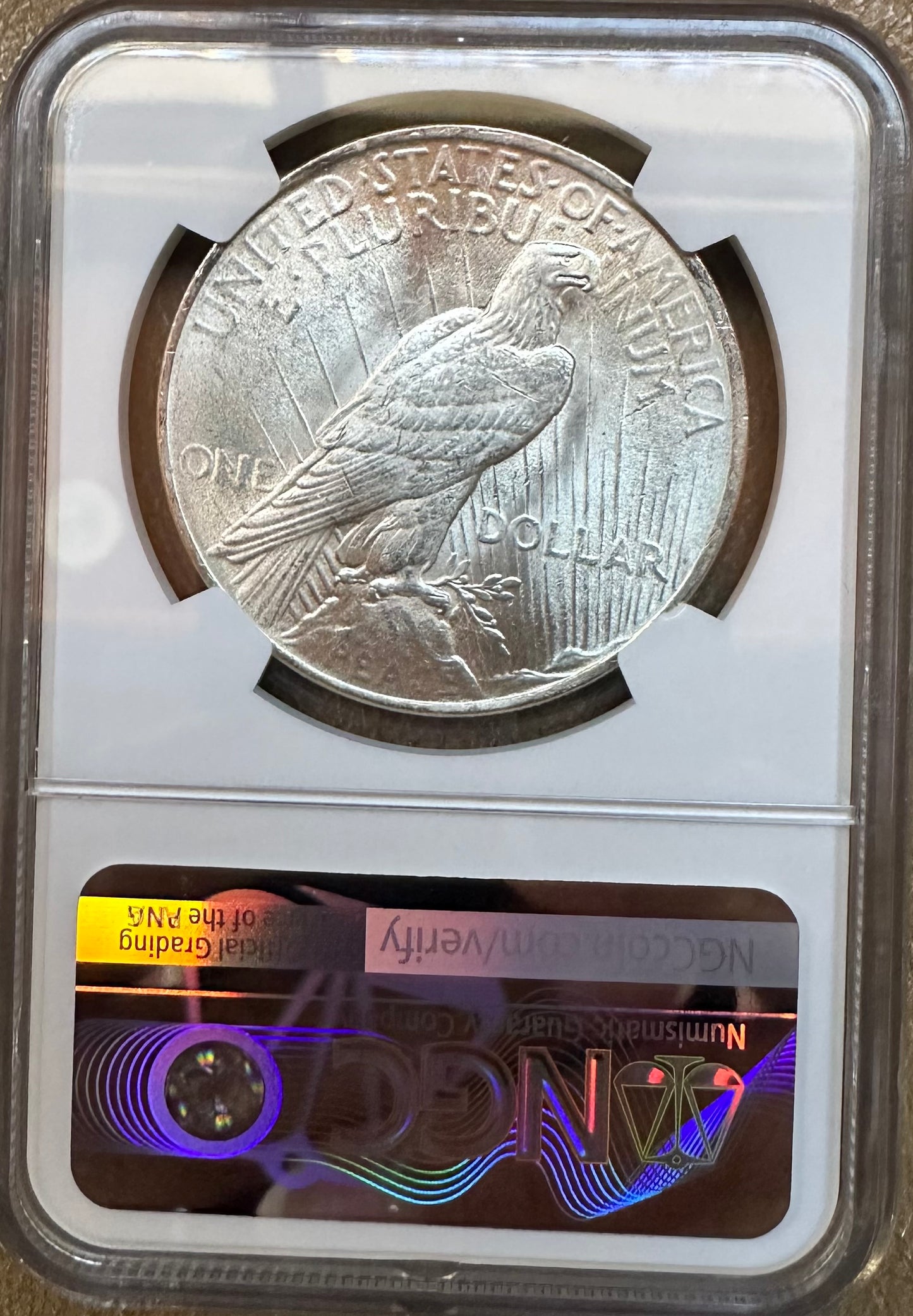 1923 Peace Dollar - NGC MS63