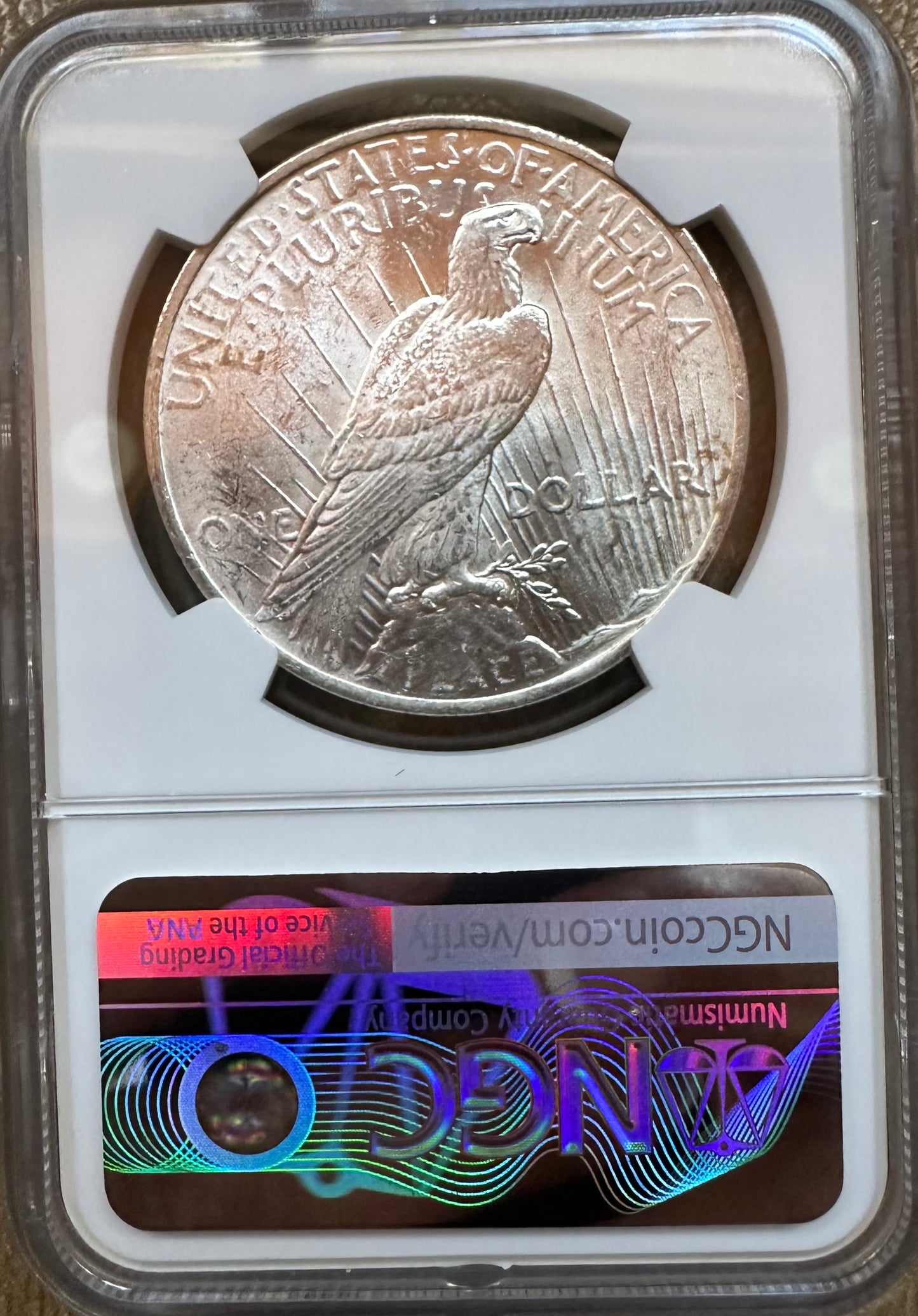 1923 Peace Dollar - NGC MS63