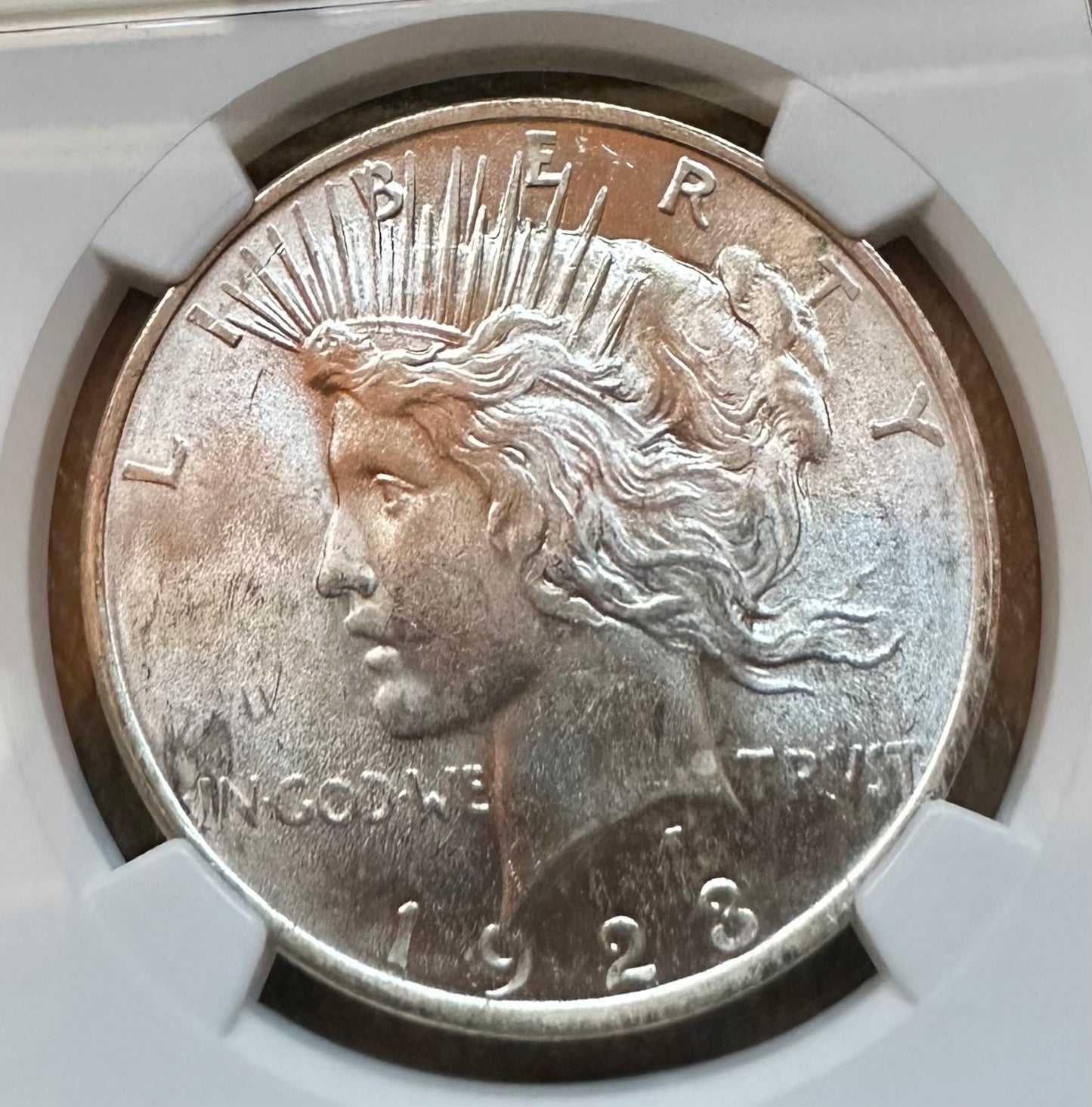 1923 Peace Dollar - NGC MS63