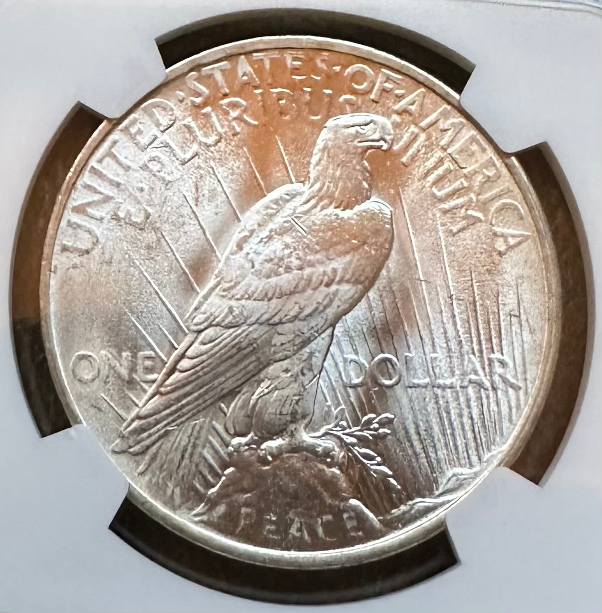 1923 Peace Dollar - NGC MS63