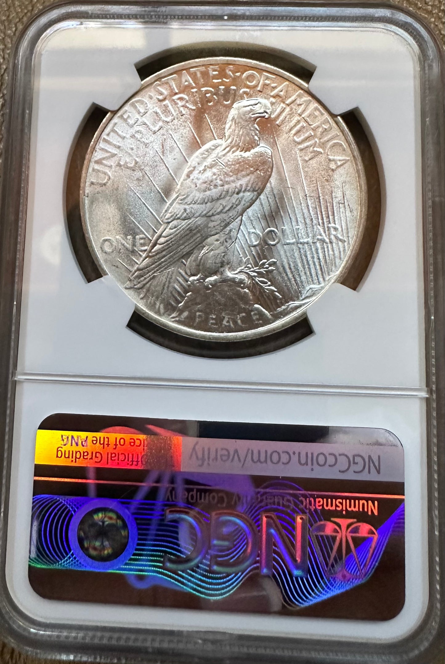 1923 Peace Dollar - NGC MS63