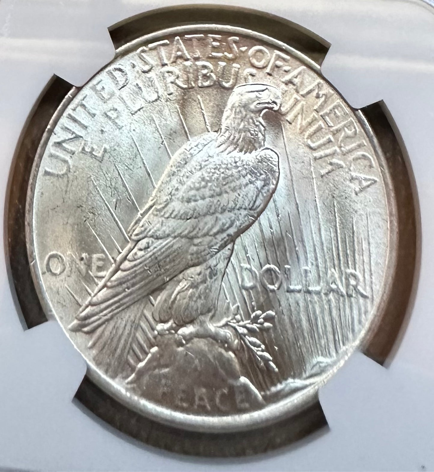 1923 Peace Dollar - NGC MS63