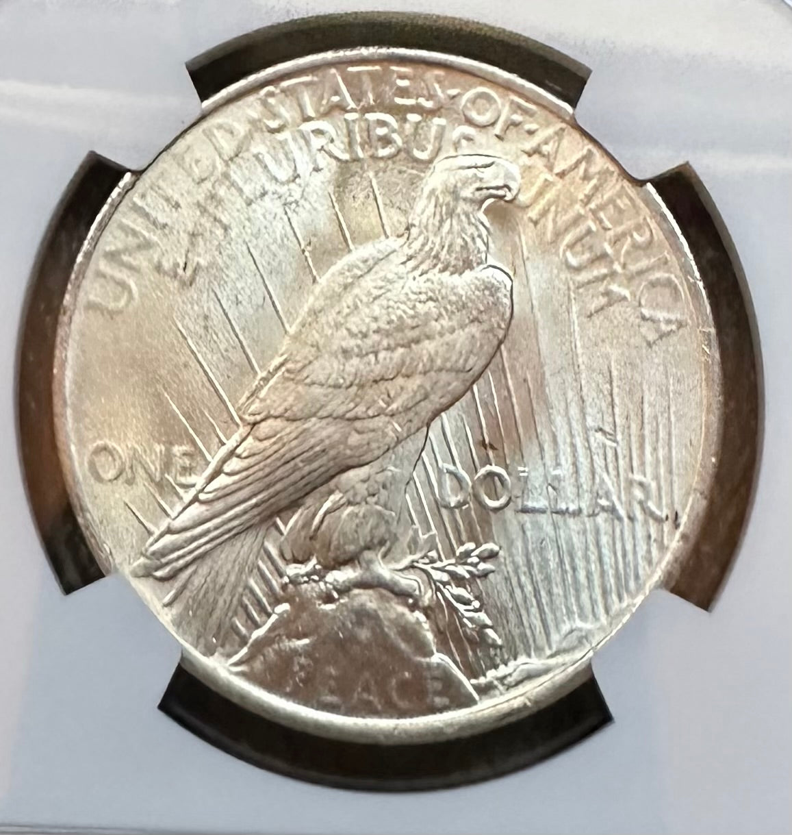 1923 Peace Dollar - NGC MS63