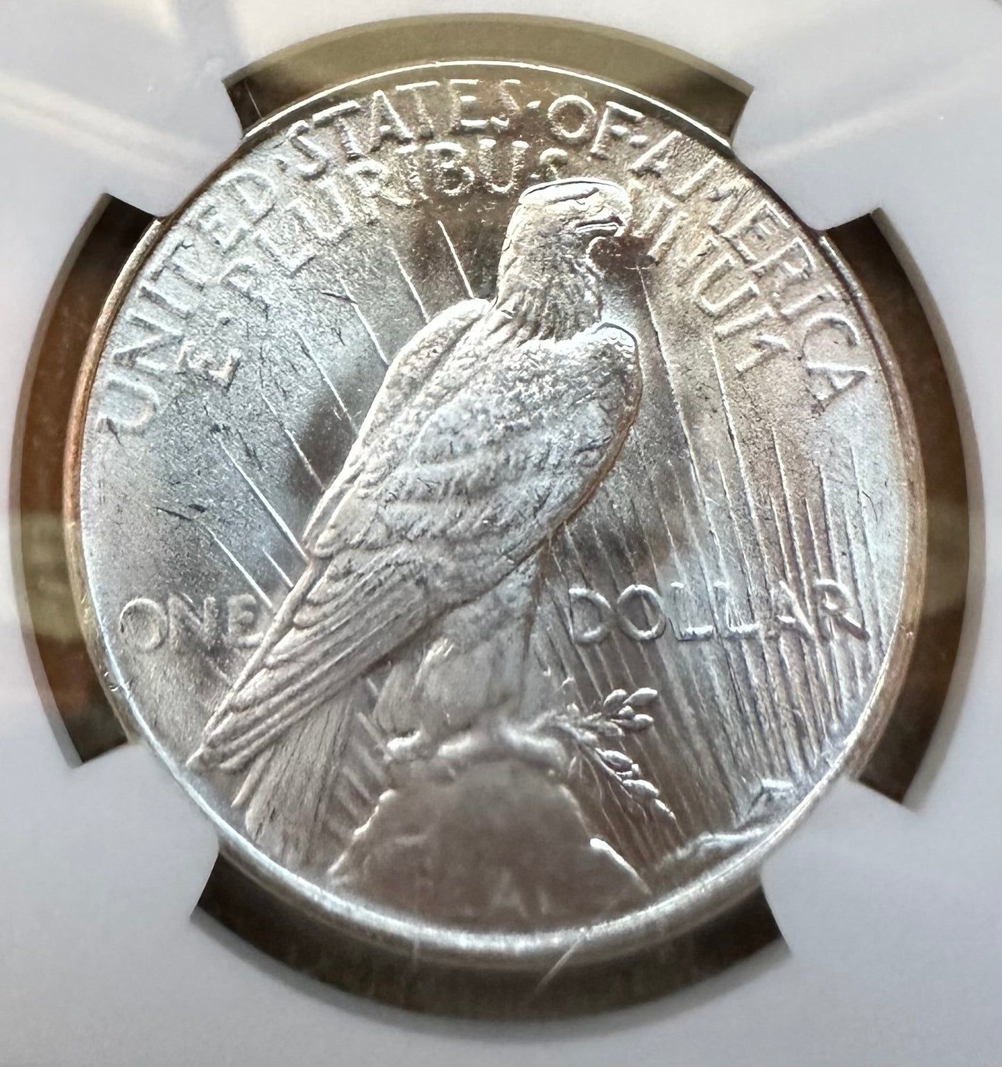 1922 Peace Silver Dollar - NGC MS63