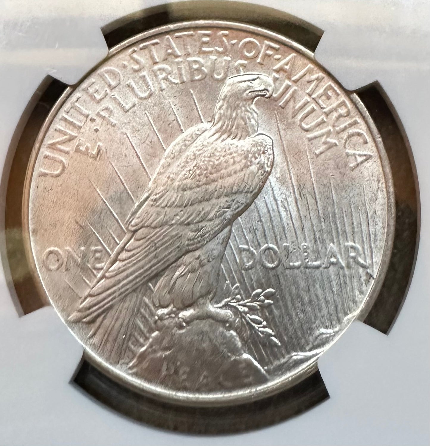 1922 Peace Silver Dollar - NGC MS63