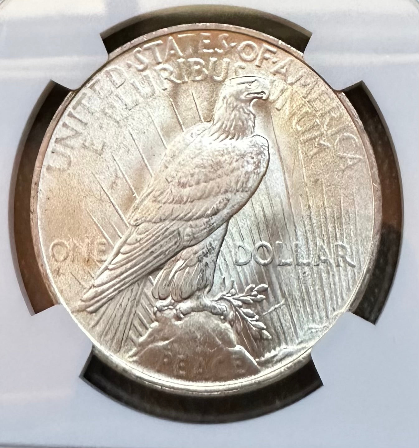 1922 Peace Silver Dollar - NGC MS63